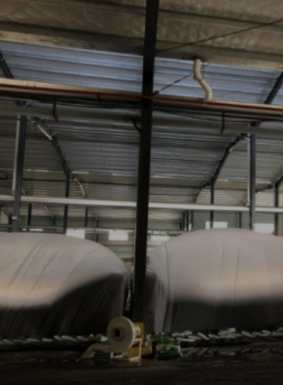 nylist_product_img3 ÓŵÂ88¡¤(ÖйúÓÎ)ÓÐÏÞ¹«Ë¾¹ÙÍø